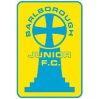 Barlborough Juniors